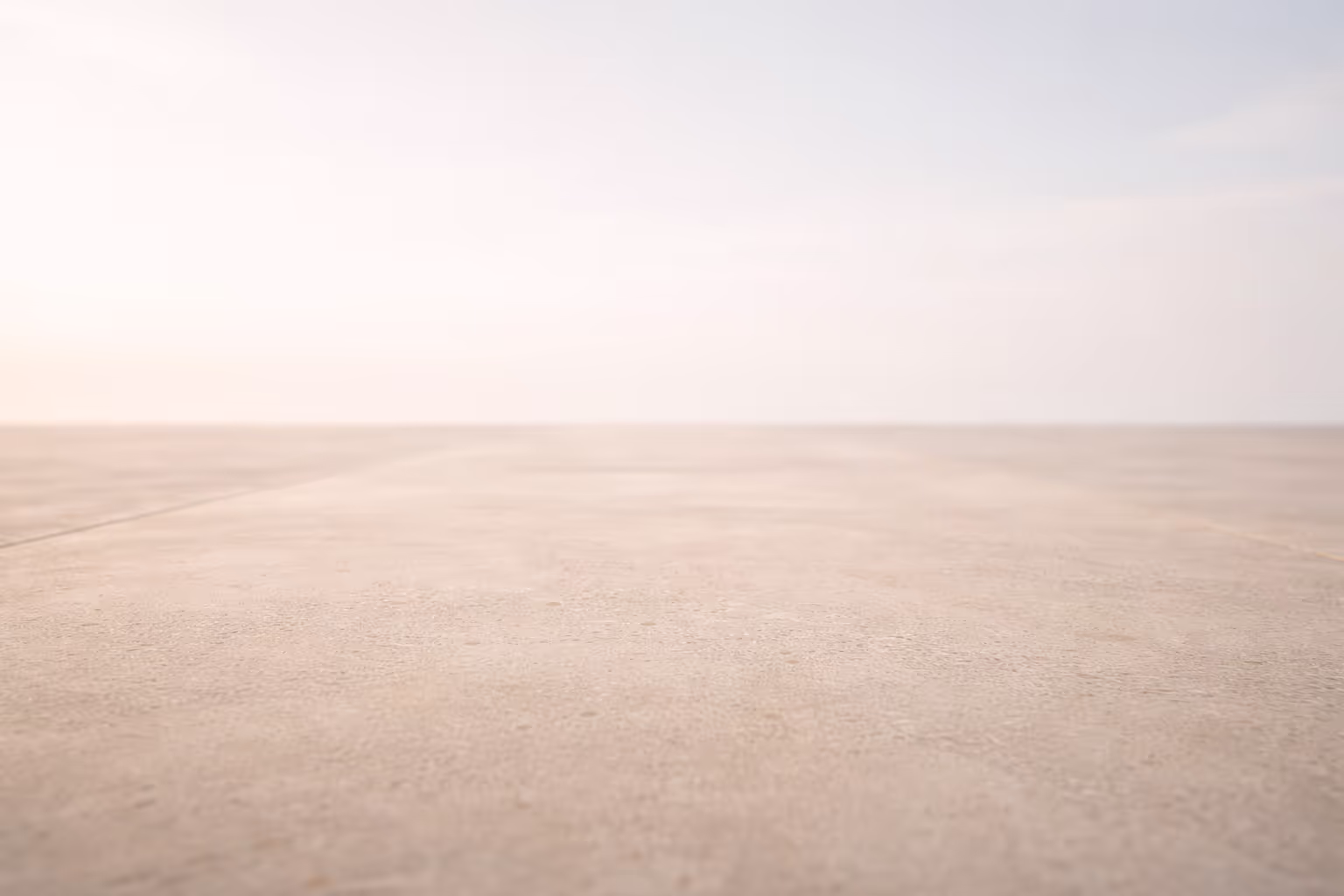 A flat stone surface under soft diffused light, with the horizon visible in the background and large empty space above.
