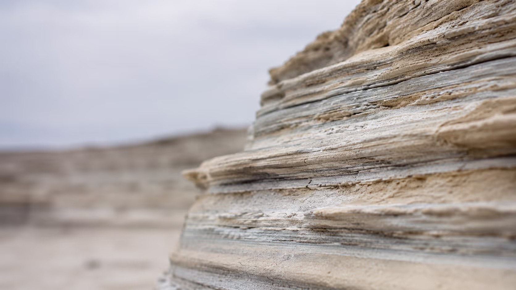 Close-up of horizontal sedimentary rock layers in pale earth tones, lit by diffuse natural light.