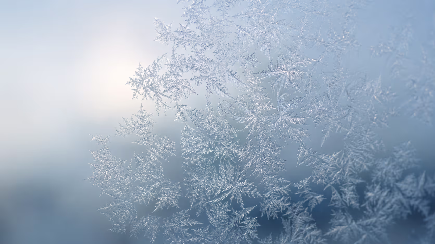 A close-up of intricate ice crystals forming a delicate pattern on a windowpane, soft cool natural light from behind.