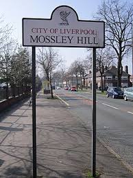 Building Survey in Mossley Hill, Liverpool (L18): What Buyers Need to Know