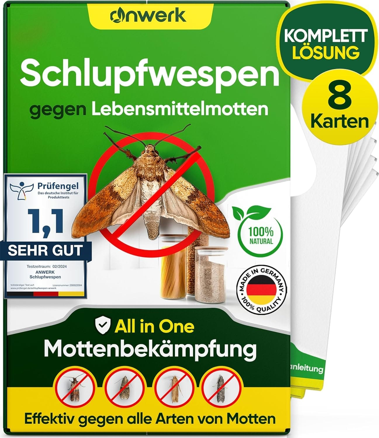 Effektiv gegen Lebensmittelmotten: anwerk® Schlupfwespen im Test!