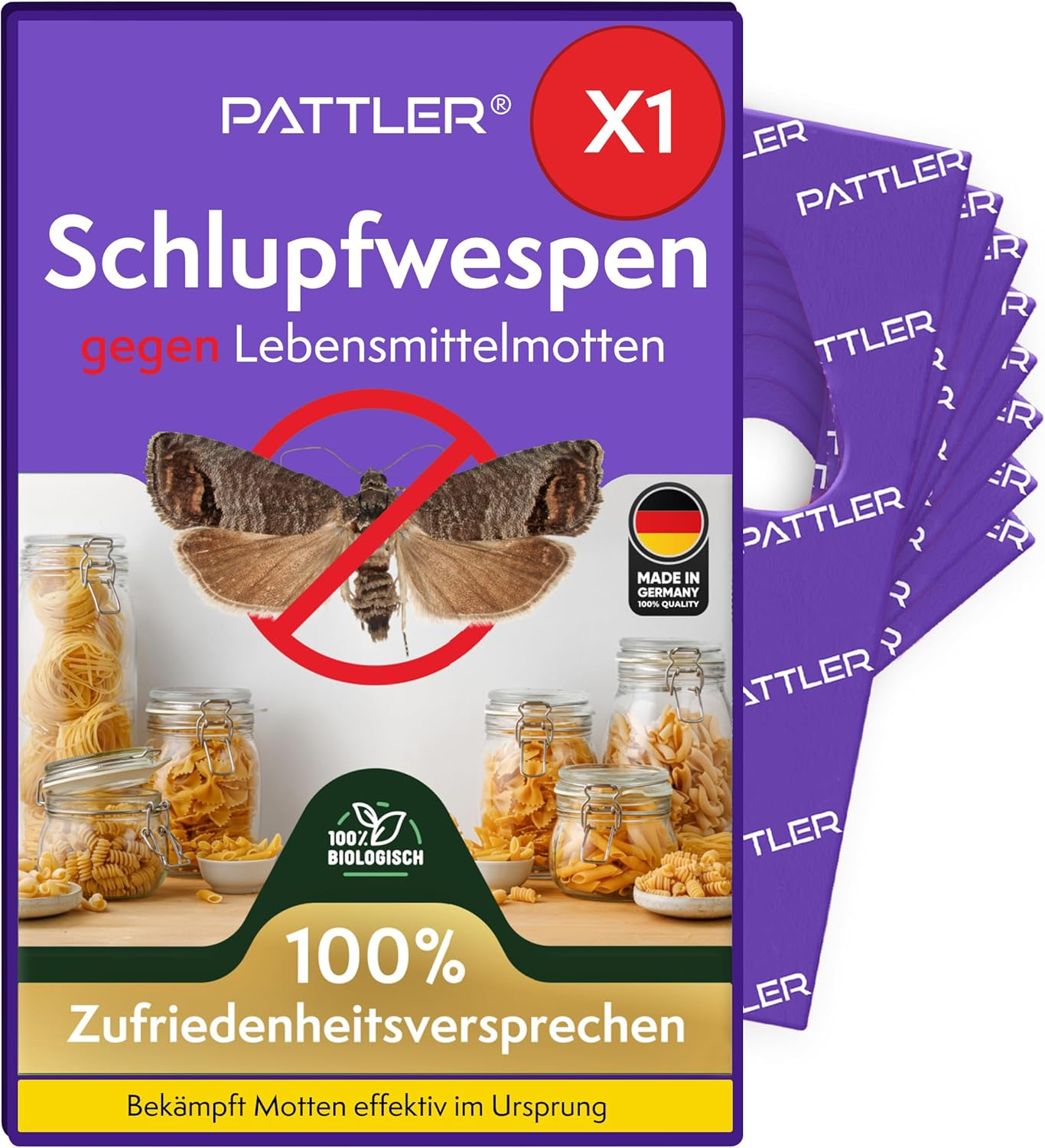 Effektiv gegen Lebensmittelmotten: PATTLER® Schlupfwespen im Test