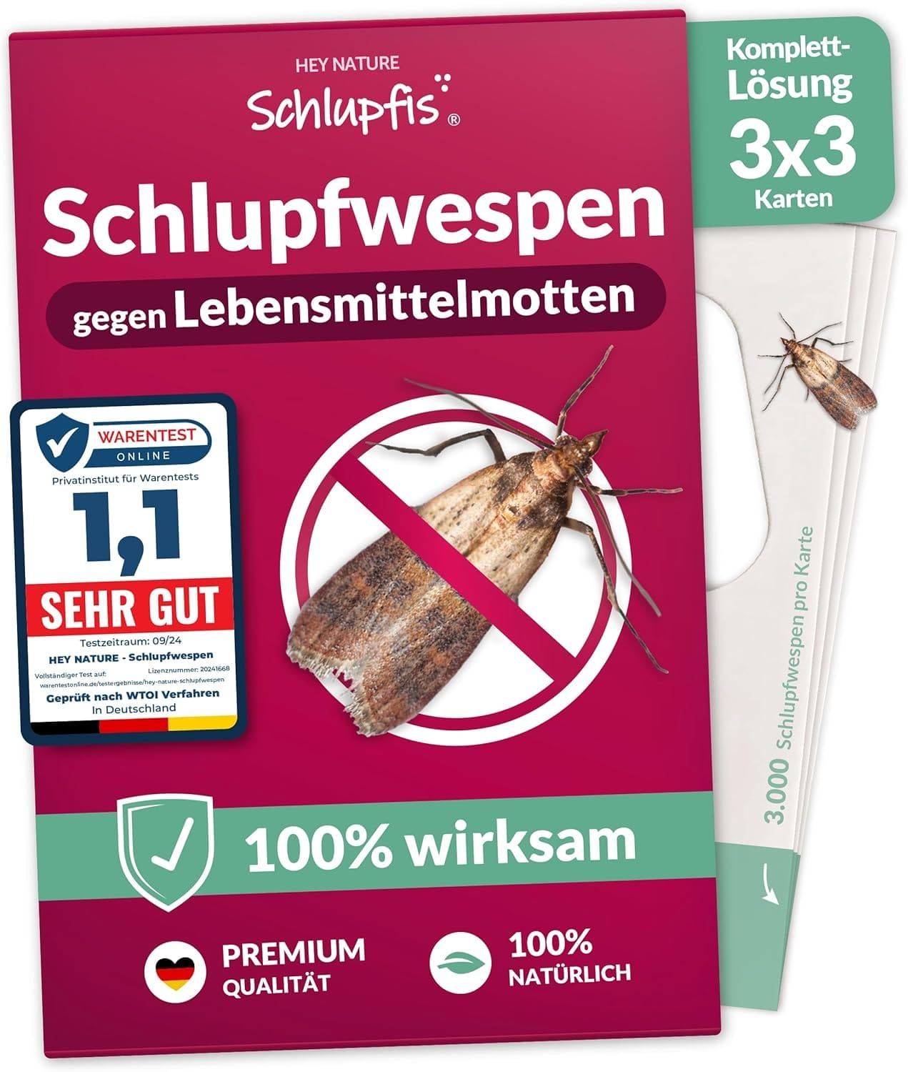 Effektiv gegen Lebensmittelmotten: Schlupfwespen im Test!