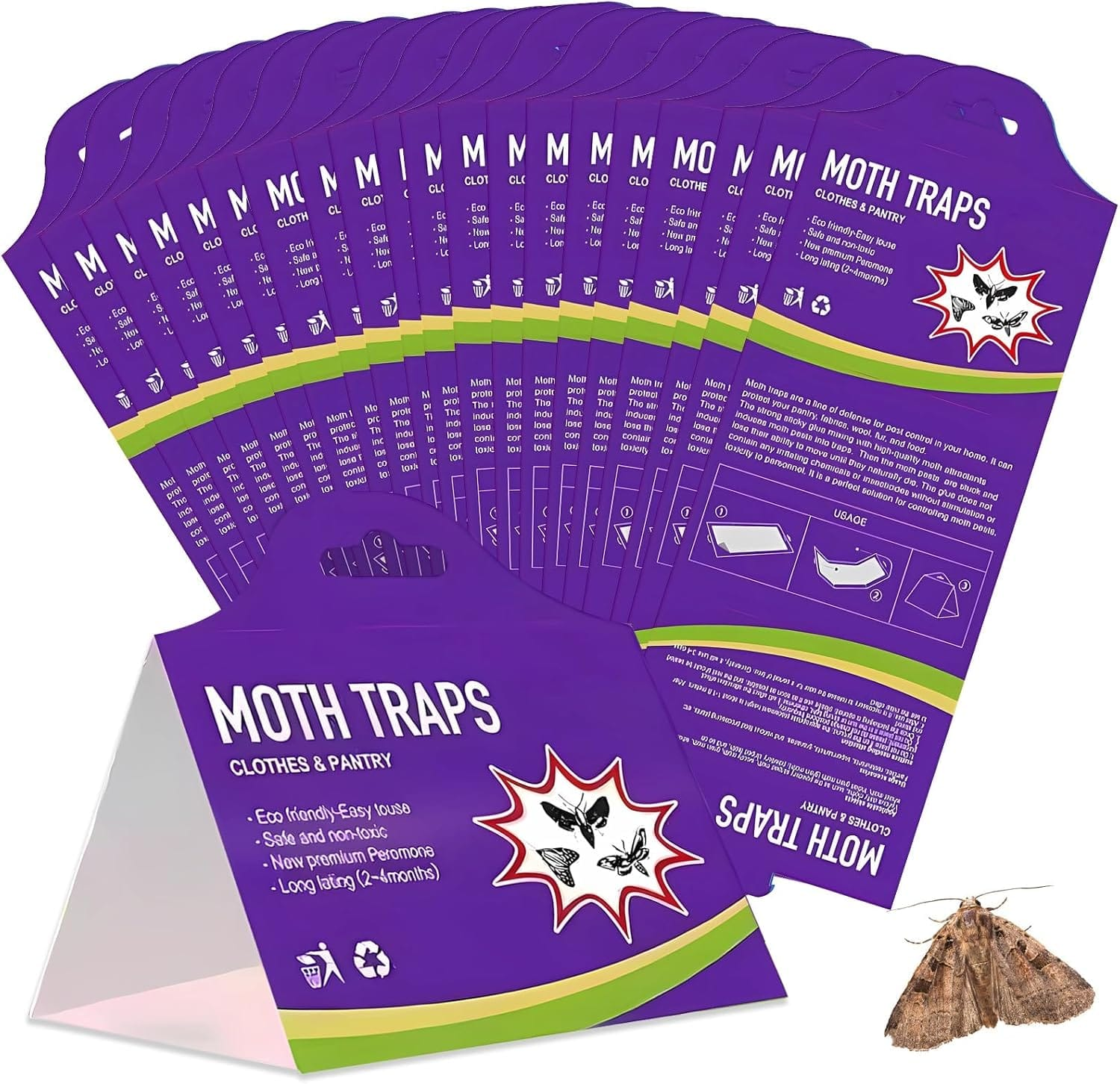 Effektiver Mottenschutz: BORDEAG Schlupfwespen im Test!