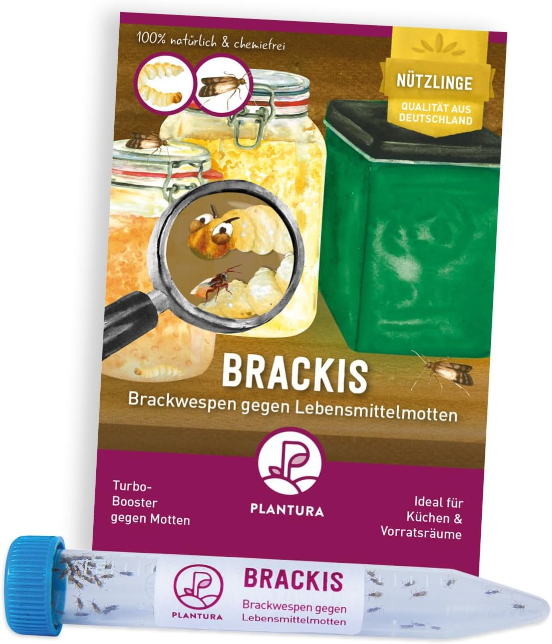 Effektiver Mottenstopp: Plantura Brackwespen im Test