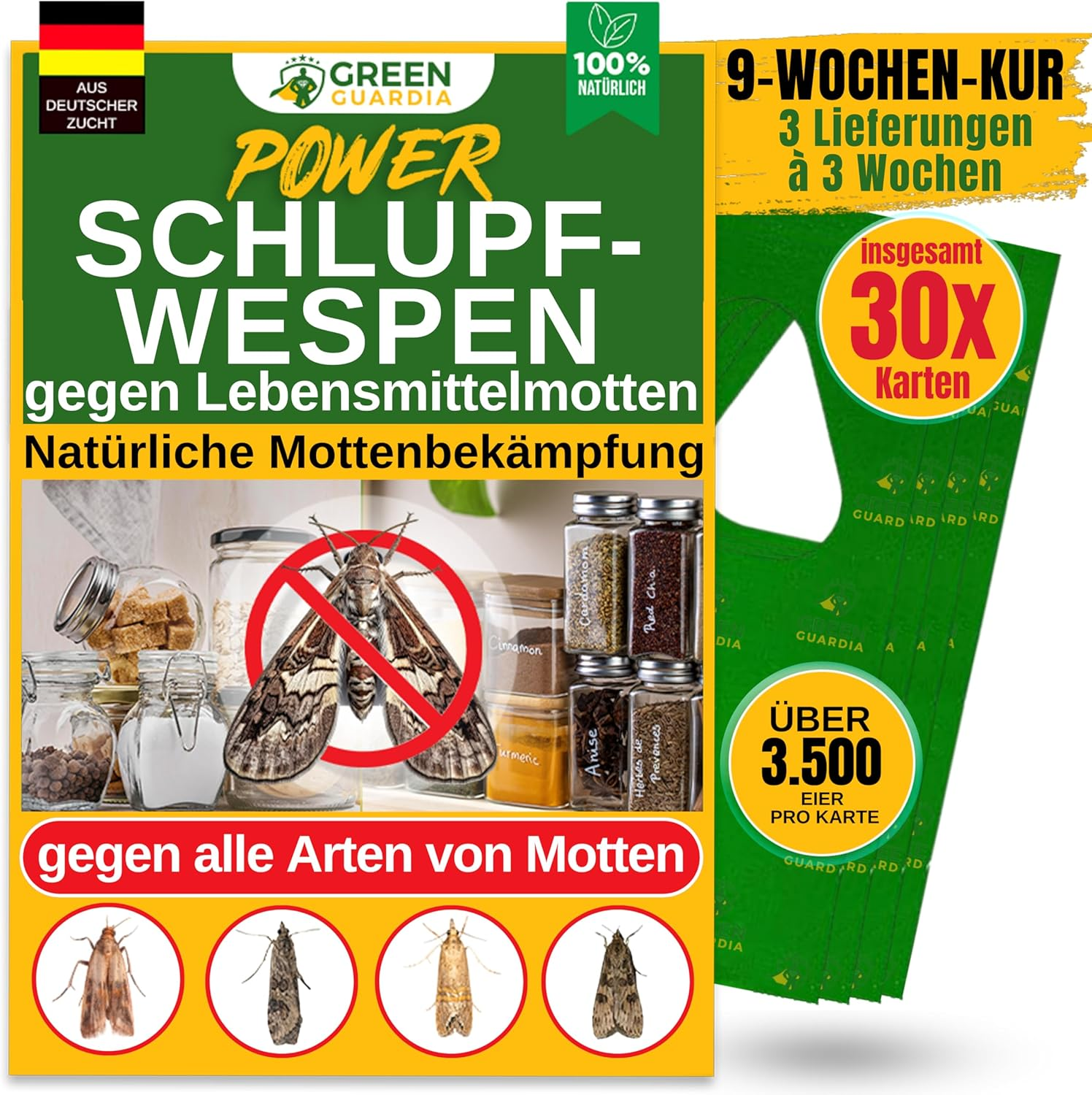 Sauber & Nachhaltig: GREEN GUARDIA Schlupfwespen gegen Lebensmittelmotten im Test
