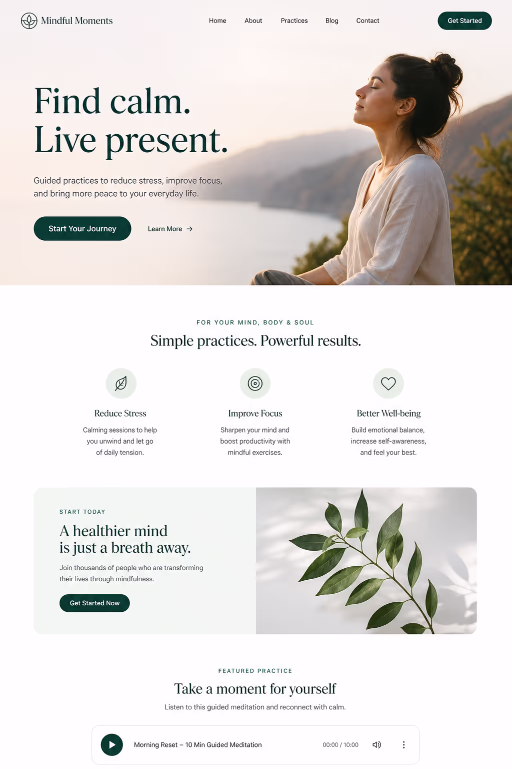 Audio Embed in homepage