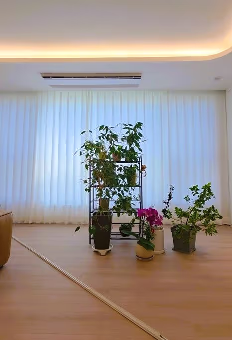 화이트 암막커튼 화이트 생활 암막커튼 (일반 커튼과 비슷한 차광율)