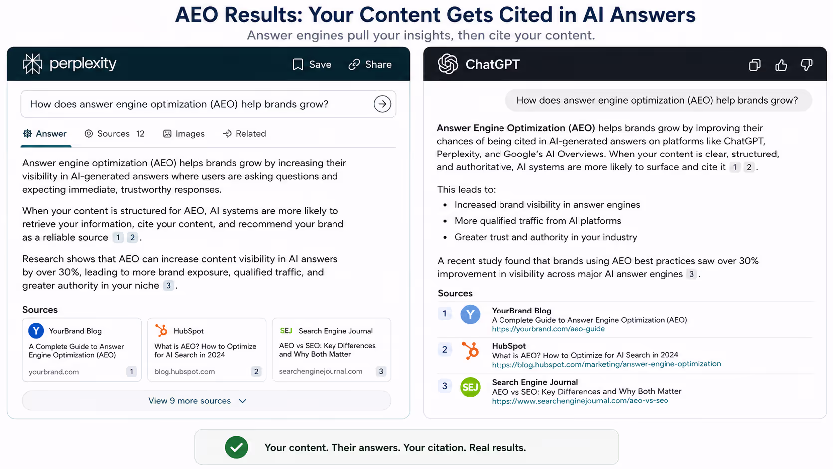 Screenshot showing answer engine optimization results with citations in Perplexity and ChatGPT