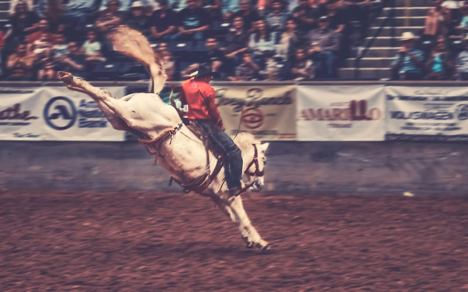 Cowboy on a bucking bronco at Boondocks Wild West Festival