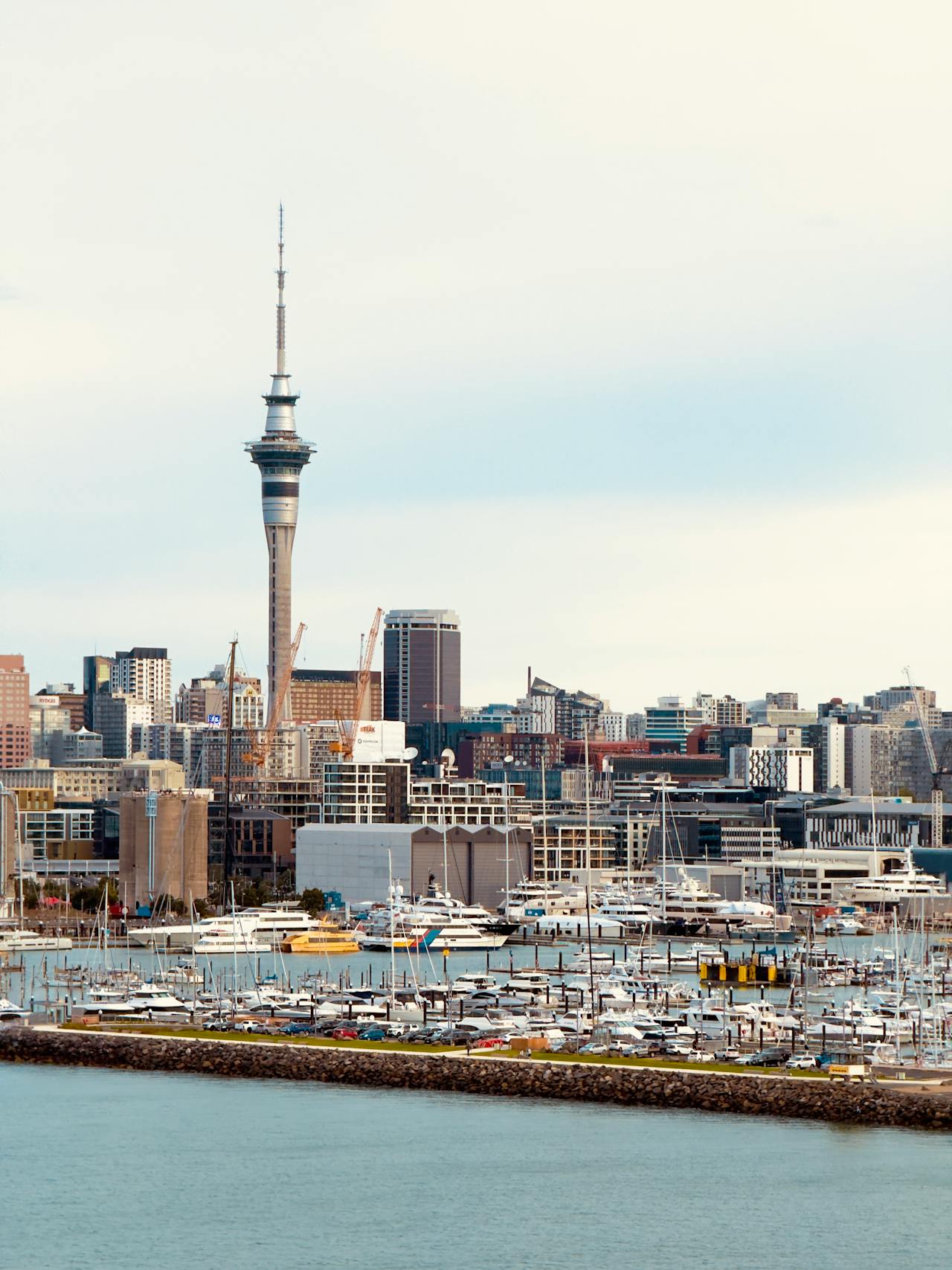 House sitting New Zealand Auckland