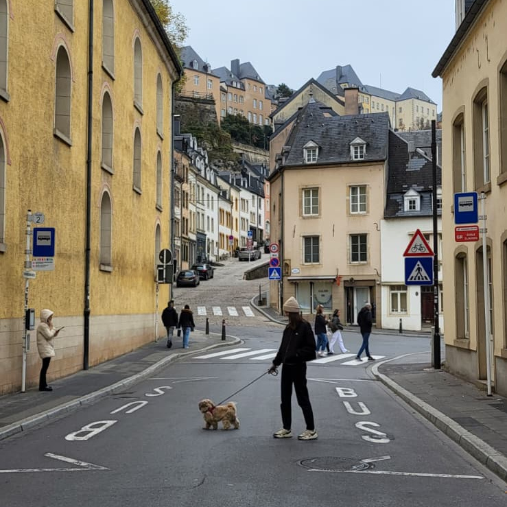 Caro walking a dog in Luxembourg