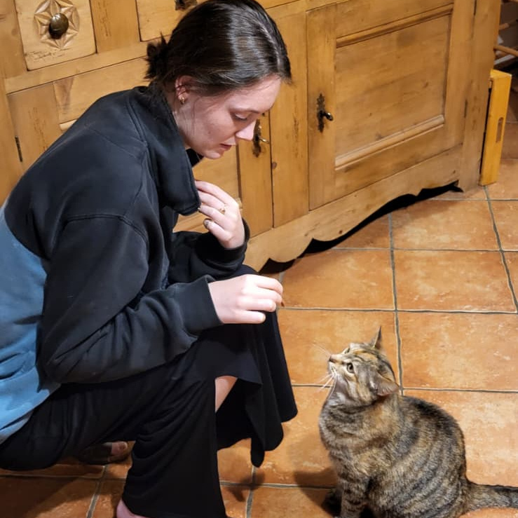 Caro feeding a cat at a house sit