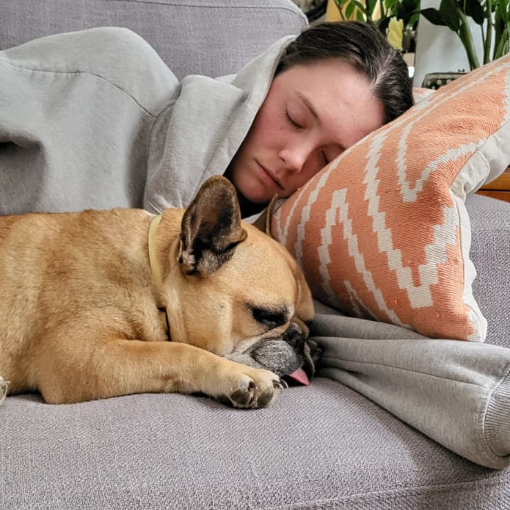 Caro falling asleep with the French Bulldog on a couch during a house sit
