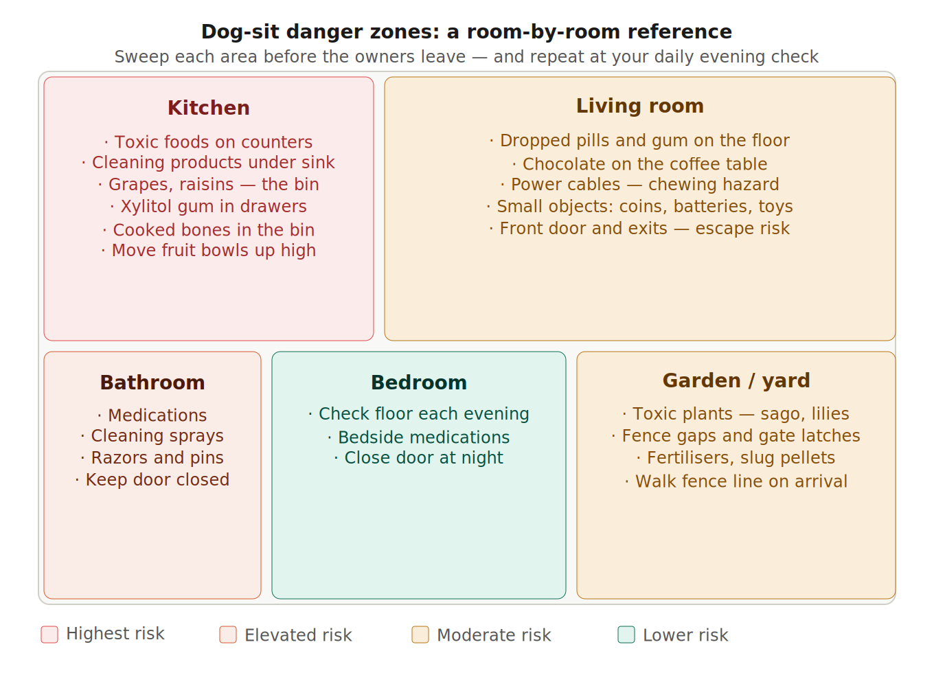 Dog sit Danger Zones: a room by room infographic