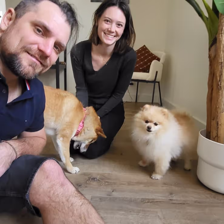 Konrad and Caro housesitting two dogs