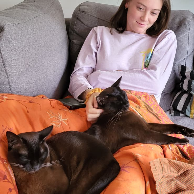 Caro looking after 2 cats in our bochum house sit