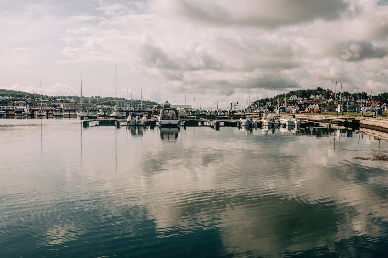 House Sitting New Zealand Auckland