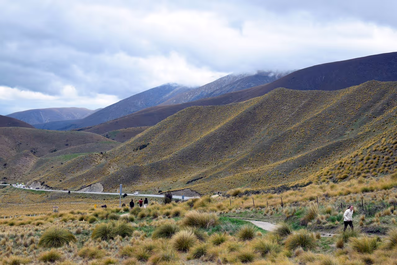 house sitters in New Zealand house sitters in New Zealand