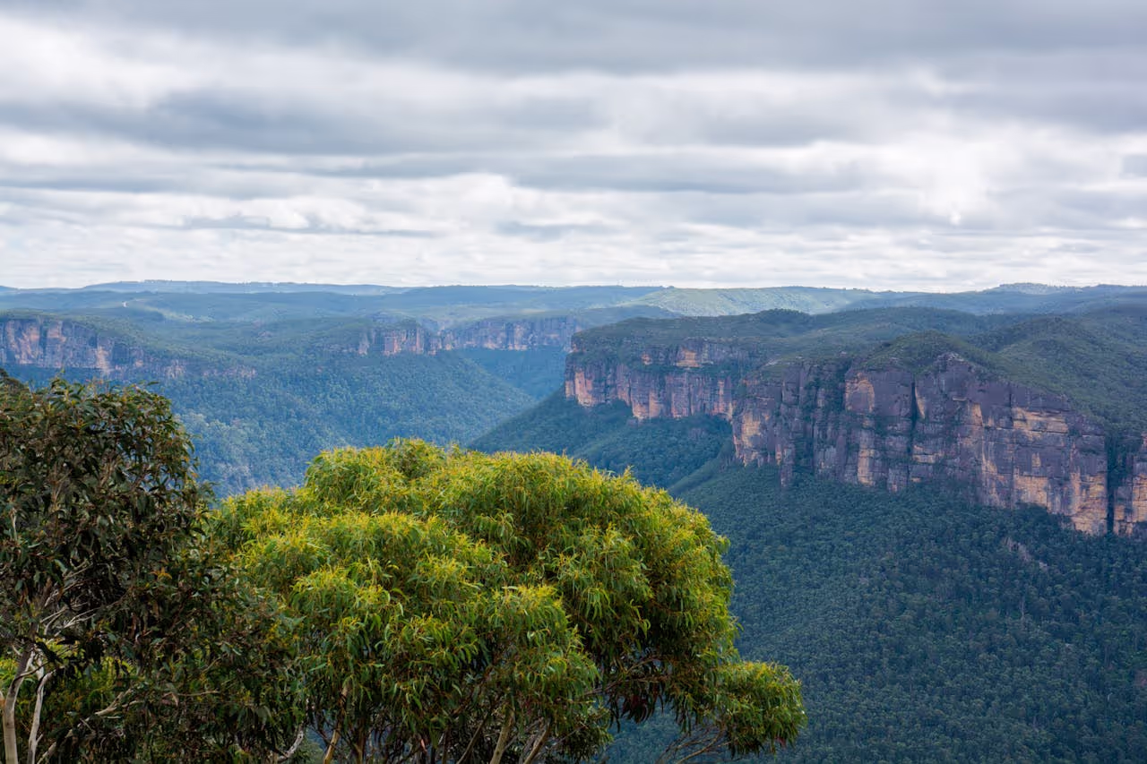 Blue Mountains NSW