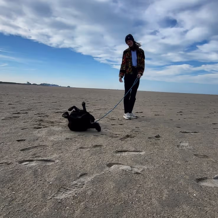 Walking a dog during out house sit in Belgium