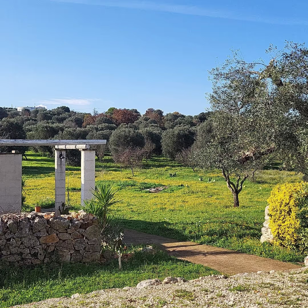 House sit in Ostuni, Italy