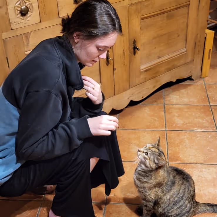 Caro feeding a cat in Lullin France