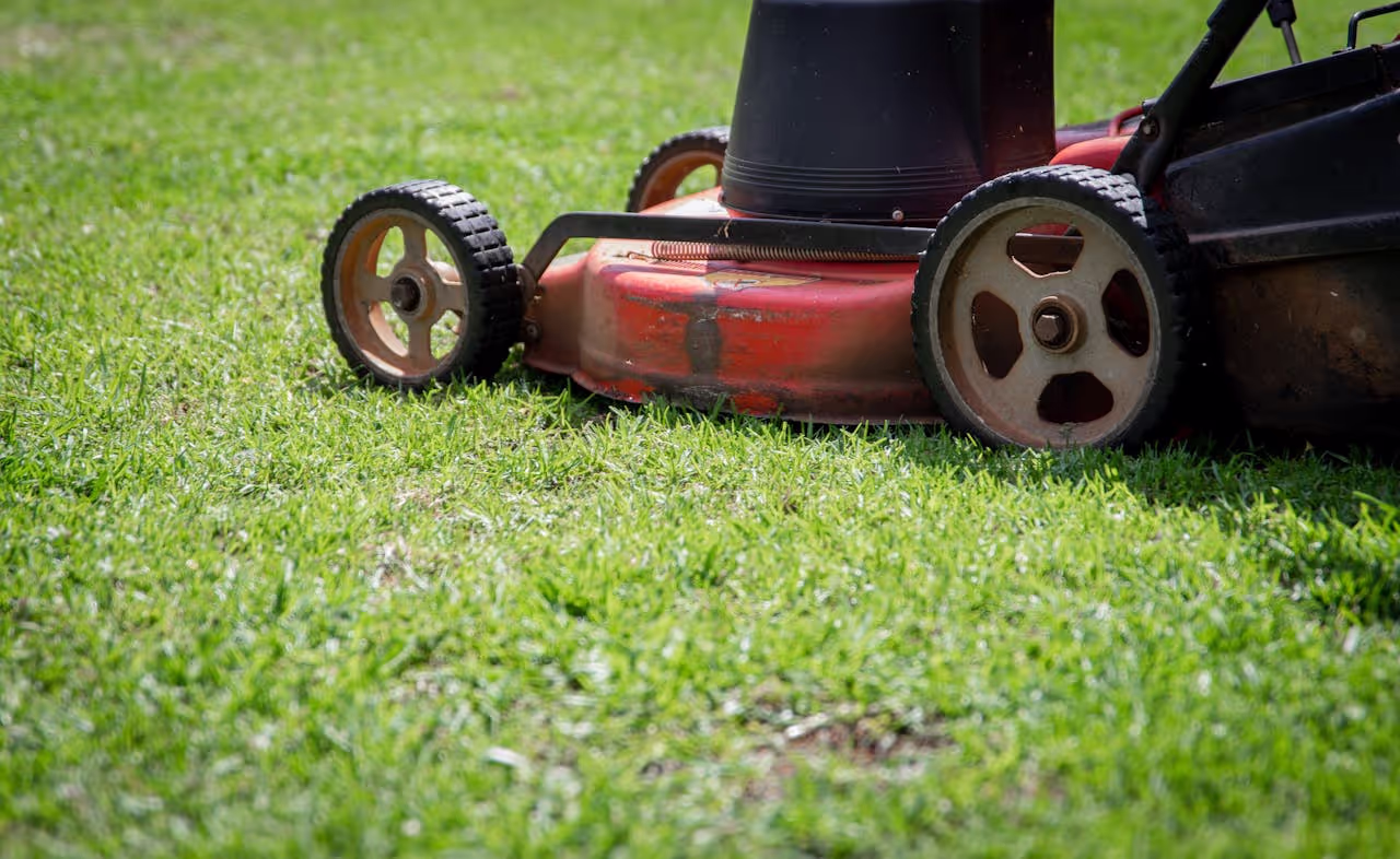 mowing the lawn on a house sit mowing the lawn on a house sit