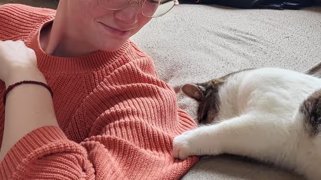 A cat grabbing Caro by her Jumper A cat grabbing Caro by her Jumper