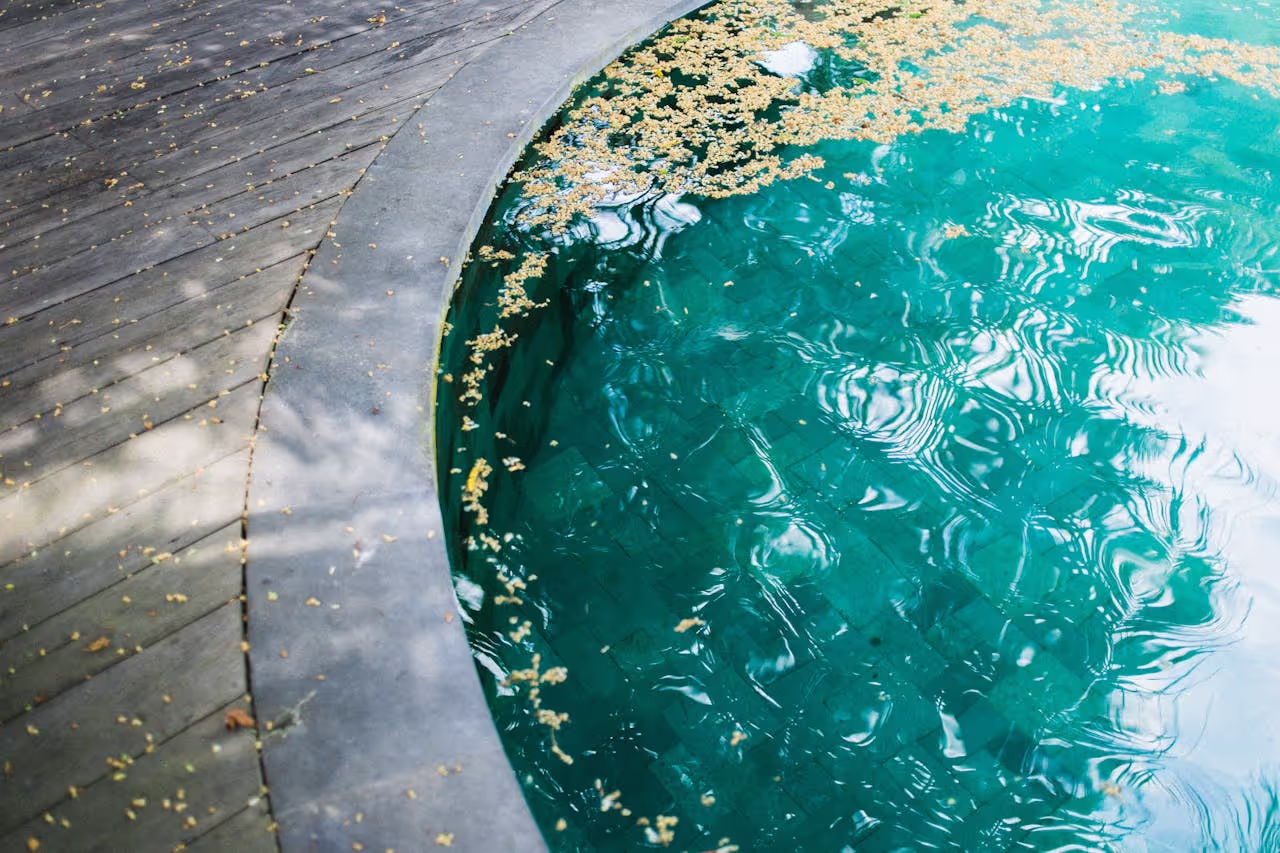 A pool that has flowers and leaves on the surface and requires skimming
