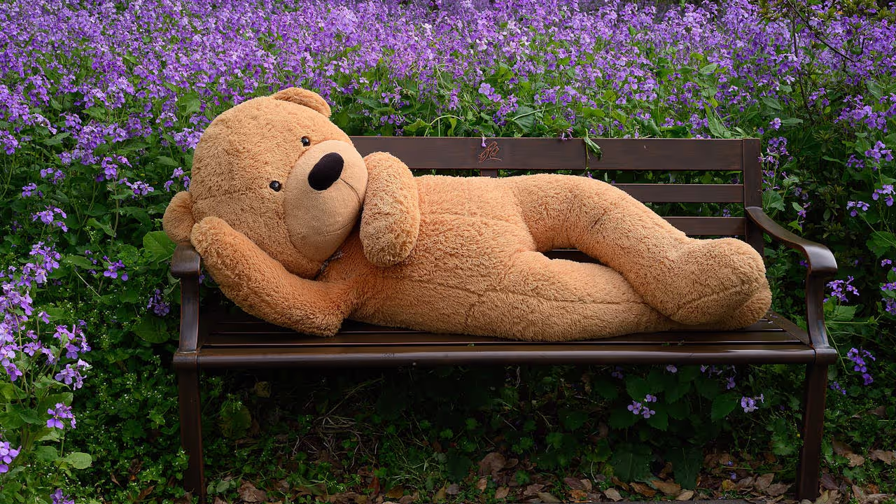 Cuddle toy bear laying on a park bench