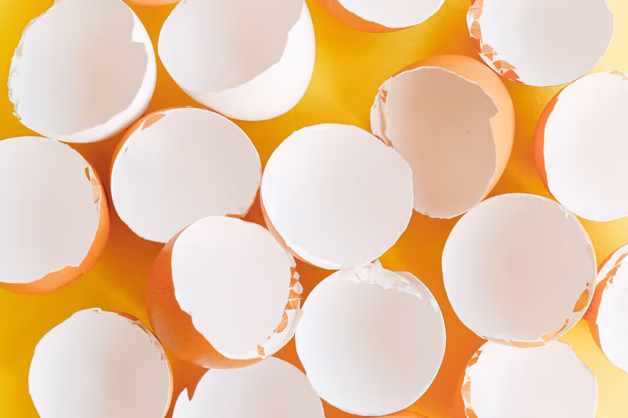 Walking on eggshells Walking on eggshells