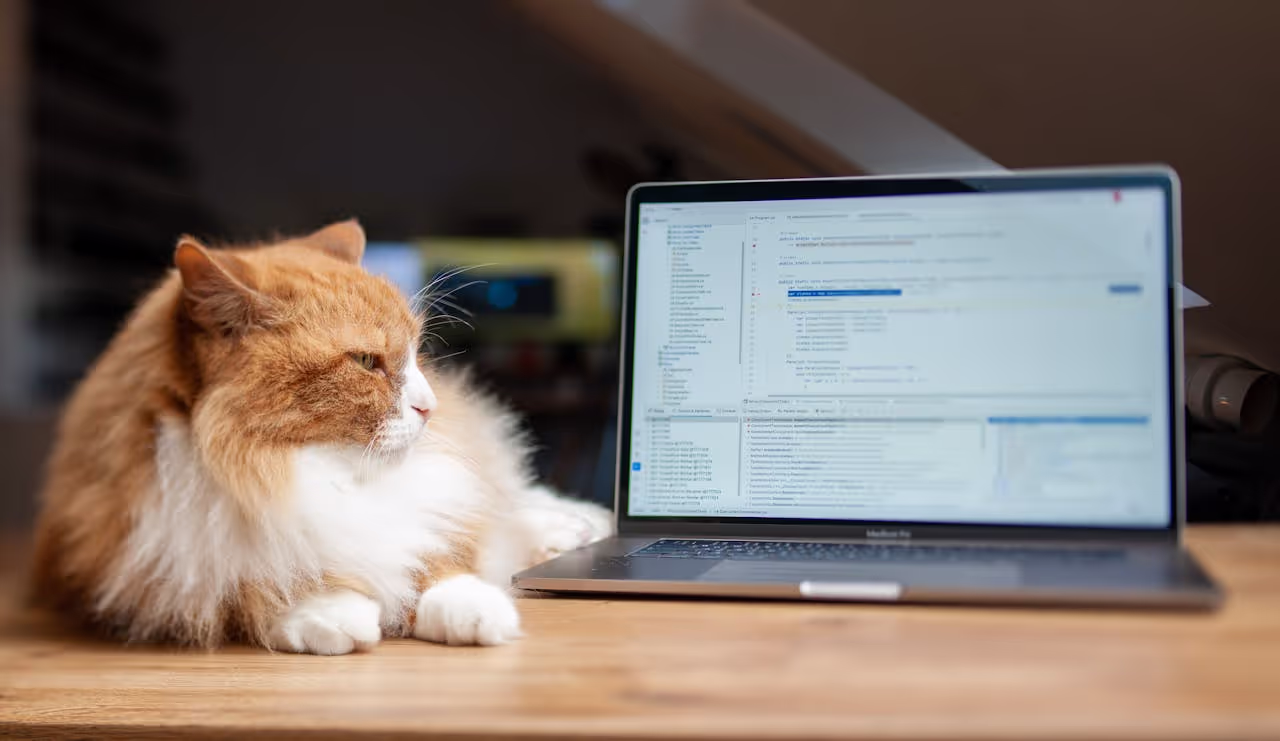 How to Design a Remote Work Routine That Survives Every House Sit