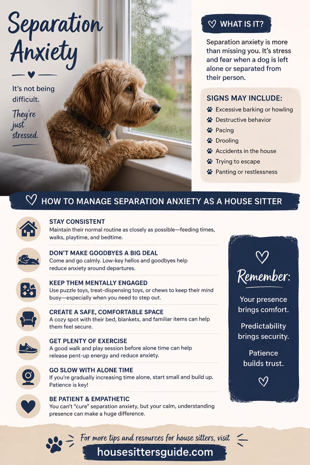 Separation anxiety infographic