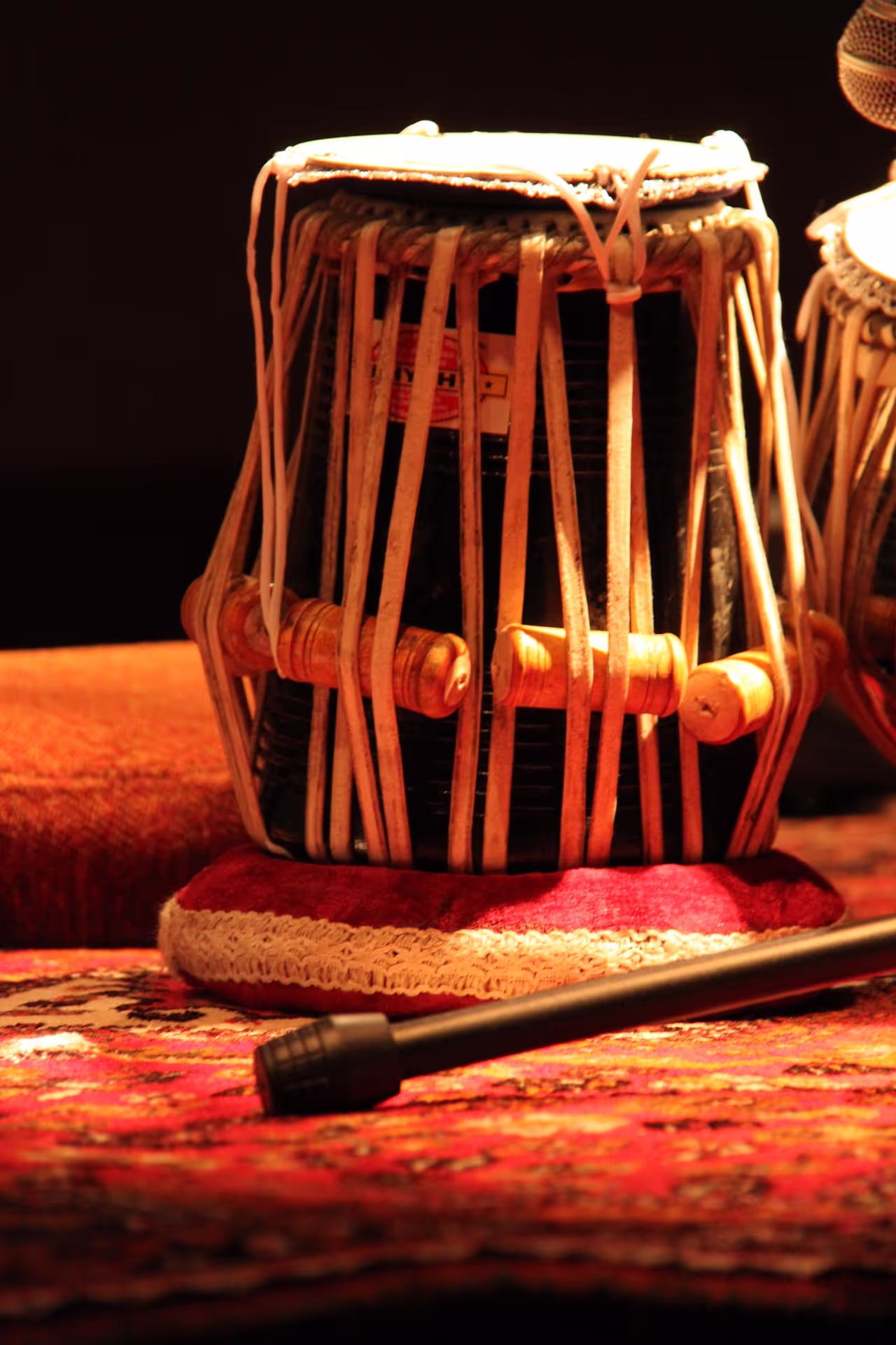 Portrait of Ustad Zakir Hussain